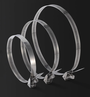 Legami di cavi in acciaio inossidabile autobloccanti per applicazioni pesanti 4.6*300mm SS304/316 Fscat