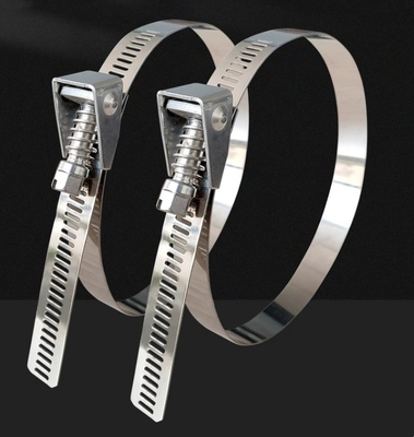 Legami di cavi in acciaio inossidabile autobloccanti per applicazioni pesanti 4.6*300mm SS304/316 Fscat