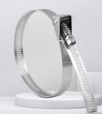 Legami di cavi in acciaio inossidabile autobloccanti per applicazioni pesanti 4.6*300mm SS304/316 Fscat