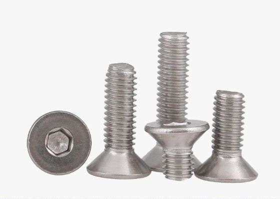 Finitura a sottile finitura DIN Standard A2 Acciaio inossidabile controbaltoni M2 M2.5 M3 M4 M5 M6 M8 M10 M12 per la costruzione