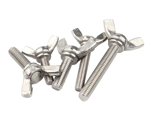 ANSI/ASME Standard M6 M8 M10 Ferrovia e dadi in acciaio inossidabile resistenti alla corrosione per macchine industriali