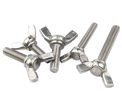 ANSI/ASME Standard M6 M8 M10 Ferrovia e dadi in acciaio inossidabile resistenti alla corrosione per macchine industriali