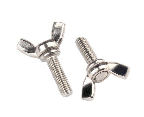 ANSI/ASME Standard M6 M8 M10 Ferrovia e dadi in acciaio inossidabile resistenti alla corrosione per macchine industriali