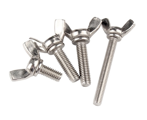 ANSI/ASME Standard M6 M8 M10 Ferrovia e dadi in acciaio inossidabile resistenti alla corrosione per macchine industriali