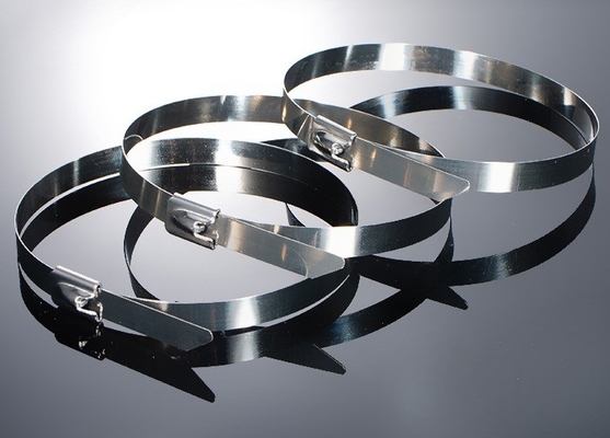 ISO Standard 100pcs legami di cavo in acciaio inossidabile 12mm per applicazioni industriali