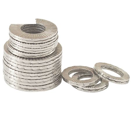 Industria generale M8M10 M12 M14 M16 DIN25201 Lavatrice doppia pila auto-bloccante a prova di urti di acciaio inossidabile