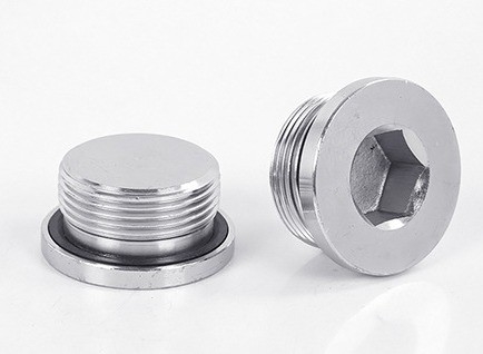 304 Stainless Steel Hex Oil Drain Plug con laringeal plug