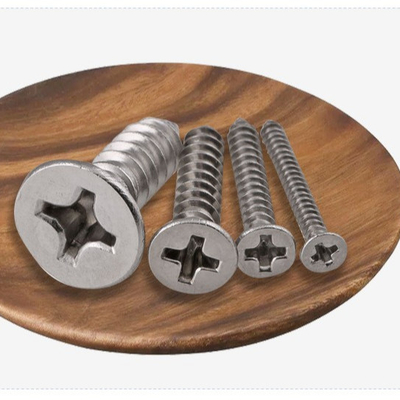 ANSI/ASME Standard SS304 SS316 Stallless Self Tapping Deck Screw DIN7982 per la costruzione resistente alla corrosione