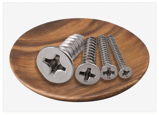 ANSI/ASME Standard SS304 SS316 Stallless Self Tapping Deck Screw DIN7982 per la costruzione resistente alla corrosione