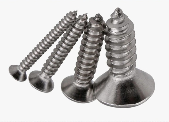 ANSI/ASME Standard SS304 SS316 Stallless Self Tapping Deck Screw DIN7982 per la costruzione resistente alla corrosione