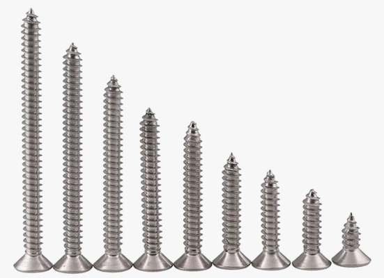 ANSI/ASME Standard SS304 SS316 Stallless Self Tapping Deck Screw DIN7982 per la costruzione resistente alla corrosione