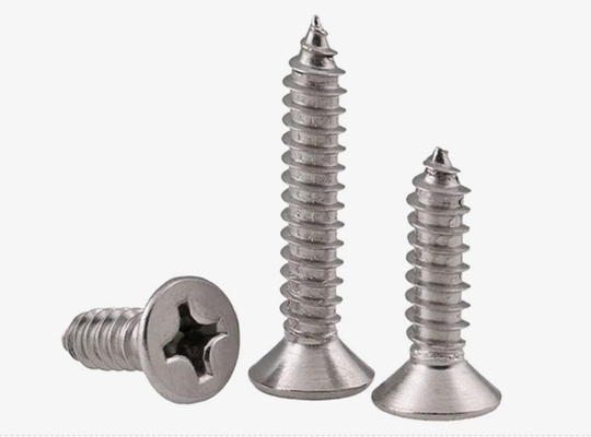 ANSI/ASME Standard SS304 SS316 Stallless Self Tapping Deck Screw DIN7982 per la costruzione resistente alla corrosione