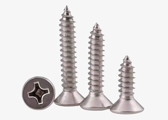 ANSI/ASME Standard SS304 SS316 Stallless Self Tapping Deck Screw DIN7982 per la costruzione resistente alla corrosione