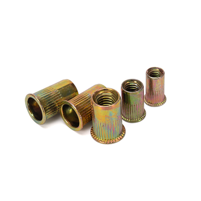 Campione Instock Rivnut in acciaio Corpo rotondo Testa piatta Noce di rivetto/Noce di rivetto metrica Inserti a filo in acciaio al carbonio Noce placcata in zinco