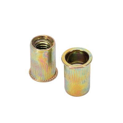 Campione Instock Rivnut in acciaio Corpo rotondo Testa piatta Noce di rivetto/Noce di rivetto metrica Inserti a filo in acciaio al carbonio Noce placcata in zinco