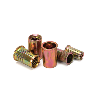Industria degli alimenti e delle bevande Fabbricazione di nastri di rivetto a testa piatta platinati in zinco, con testa piatta, con testa vuota, con nastri di rivetto, per fissaggio in acciaio M3-M12 in acciaio inossidabile 304