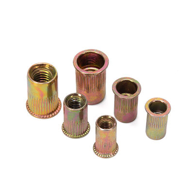 Trattamento dell'acqua Hardware personalizzato Nocciolo di rivettatura vuoto Nocciolo di blocco in zinco colorante inserire nocciolo cieco DIN Standard con acciaio inossidabile 304