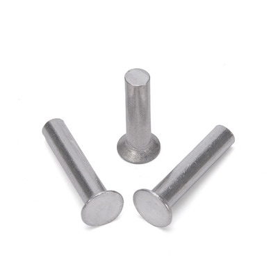 ANSI/ASME Standard in acciaio inossidabile Flat Head Solid Rivet for Heavy Duty Applications
