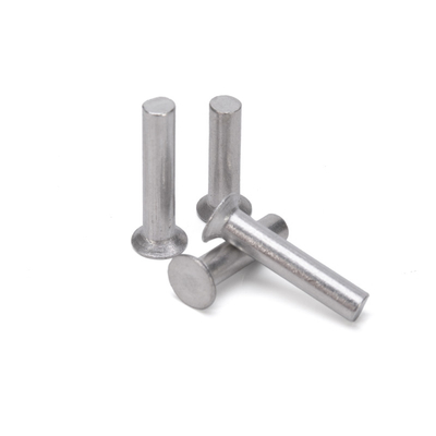ANSI/ASME Standard in acciaio inossidabile Flat Head Solid Rivet for Heavy Duty Applications