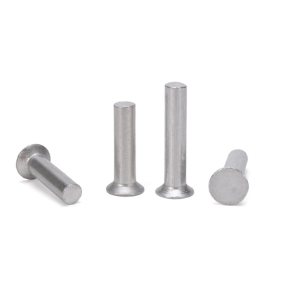 DIN Standard M3/M4/M5/M6 Acciaio inossidabile 304 Rivettatura semitubolare e rivettatura solida