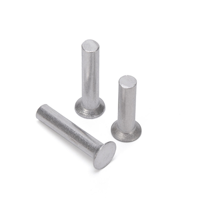 DIN Standard M3/M4/M5/M6 Acciaio inossidabile 304 Rivettatura semitubolare e rivettatura solida