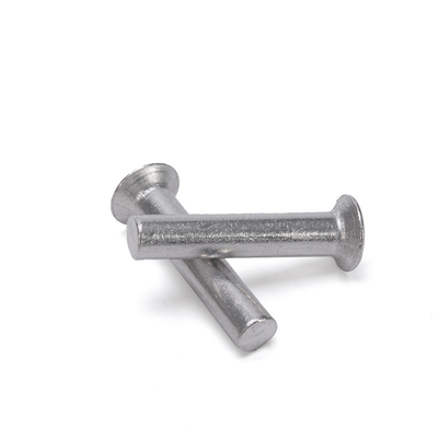 DIN Standard M3/M4/M5/M6 Acciaio inossidabile 304 Rivettatura semitubolare e rivettatura solida