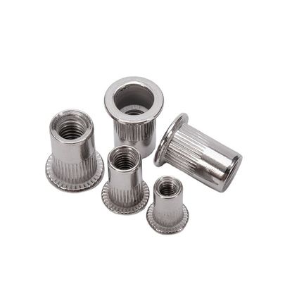 Metrica 304 in acciaio inossidabile a testa piatta galvanizzazione in acciaio carbonizzato M5 M6 M8 Noce di rivettatura per il trattamento dell'acqua Applicazione da fissaggio