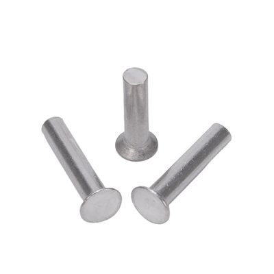 Finitura luminosa Aluminio M2 M2.5 M3 M4 M5 M6 Diametro della canna GB869 Testa piatta Controffatta Punch Auto-connessione Rivetta solida