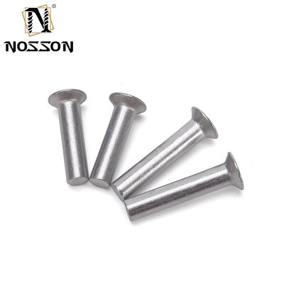 Finitura luminosa Aluminio M2 M2.5 M3 M4 M5 M6 Diametro della canna GB869 Testa piatta Controffatta Punch Auto-connessione Rivetta solida