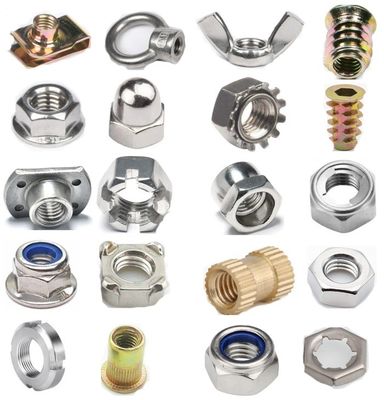 M6 M8 M10 M12 Noccioline inossidabili da taglio con DIN Standard Healthcare Acciaio al carbonio conico SS304 SS316 Finitura galvanizzata