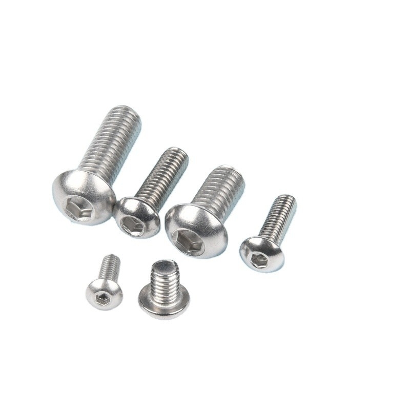 Standard DIN M2 M2.5 M3 M4 M5 M6M8 M10 M12 M14 M16 M18 M20 M24 M27 M30 Viti e bulloni con presa in acciaio inossidabile personalizzato 304