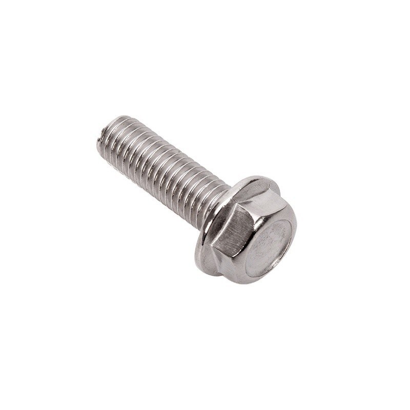 Finitura SUS304 316 di Slice ZINC Hex Flange Head Bolts M5 M6 M8 M10 M12 M14 M16 M20 DIN ISO Grado di passo del filo sottile grossolano 304/316