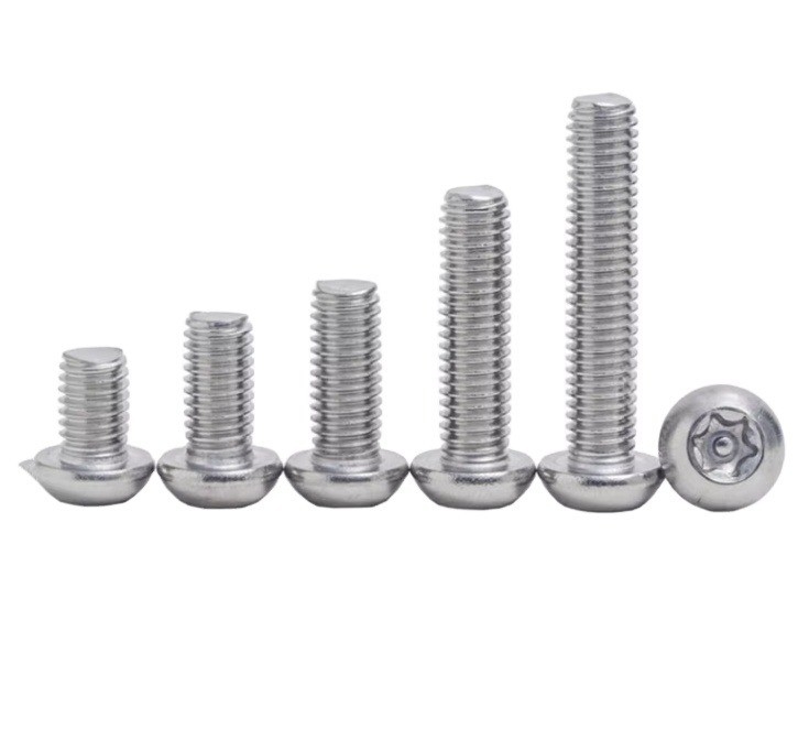 ANSI/ASME Standard 304 Torx in acciaio inossidabile Testa rotonda con perno anti-furto