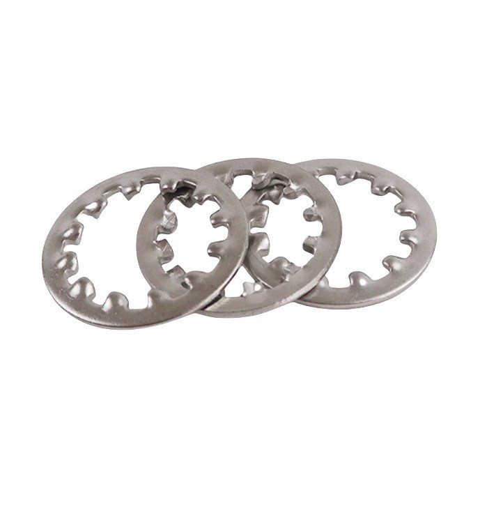 Stainless Steel Split Style Serrated Lock Washer Con denti interni DIN6797 M18 M20 M22 M24 M27 SS 304 316 316L Finitura semplice