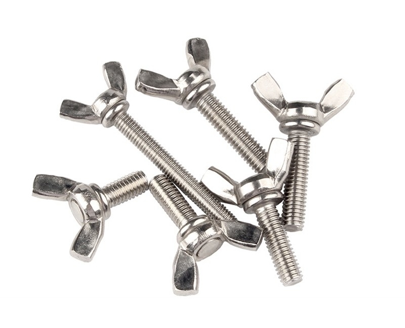 ANSI/ASME Standard M6 M8 M10 Ferrovia e dadi in acciaio inossidabile resistenti alla corrosione per macchine industriali