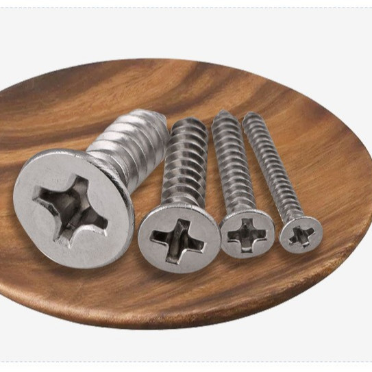 ANSI/ASME Standard SS304 SS316 Stallless Self Tapping Deck Screw DIN7982 per la costruzione resistente alla corrosione