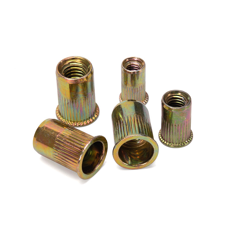 Campione Instock Rivnut in acciaio Corpo rotondo Testa piatta Noce di rivetto/Noce di rivetto metrica Inserti a filo in acciaio al carbonio Noce placcata in zinco