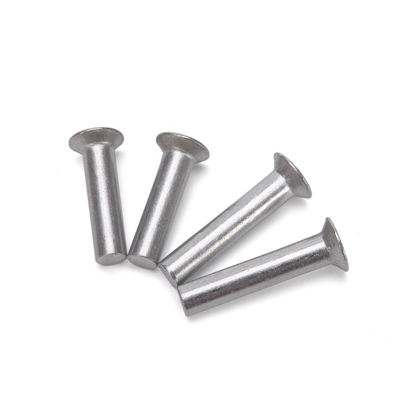 ANSI/ASME Standard in acciaio inossidabile Flat Head Solid Rivet for Heavy Duty Applications