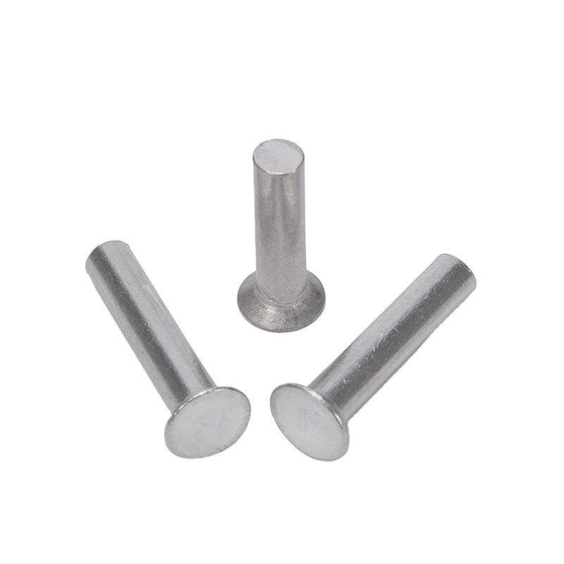 Finitura luminosa Aluminio M2 M2.5 M3 M4 M5 M6 Diametro della canna GB869 Testa piatta Controffatta Punch Auto-connessione Rivetta solida